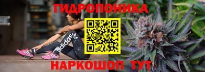 кокс Нальчик