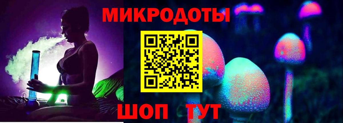 Псилоцибиновые грибы Psilocybine cubensis  Вход с VPN  Узловая 